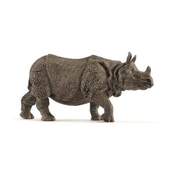 ndian rhinoceros